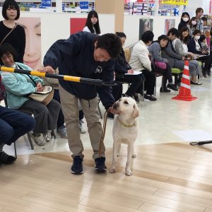 グリーンモール山室で「盲導犬ふれあいイベント」が開催されました。の画像